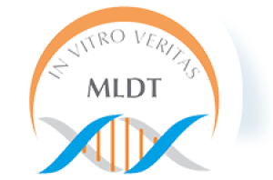 MLDT 59, Pécs, Hungary